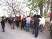 Játar. Todavía hay quien prefiere el caballo al coche.